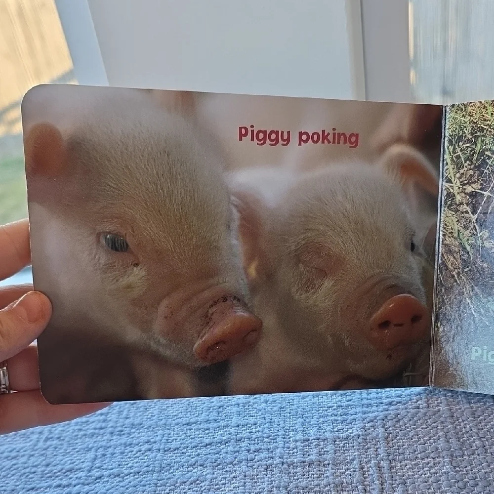 Busy Piggies Green and White Board Book